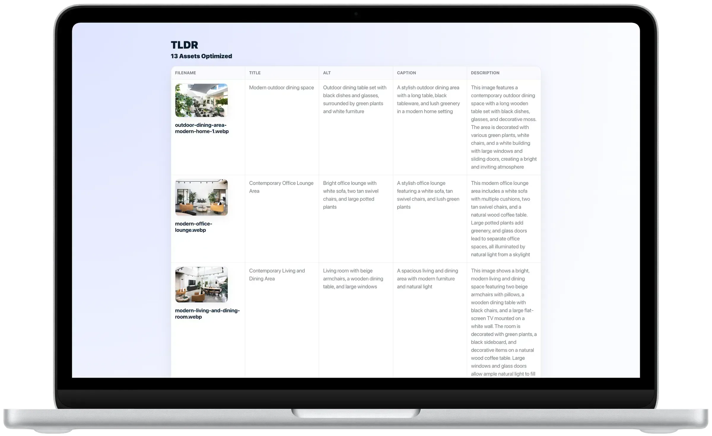 TLDR shown on a laptop with 13 optimized image assets and generated filename, title, alt text, caption, and description columns